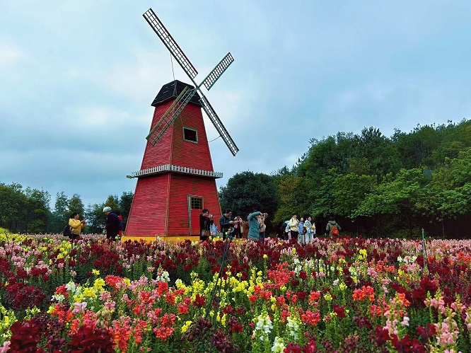 活动照片1.jpg 活动照片1.jpg